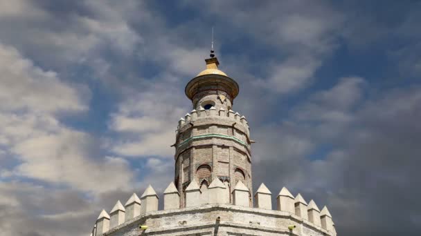 Torre del Oro (siglo XIII), una torre de vigilancia dodecagonal militar árabe medieval en Sevilla, Andalucía, sur de España — Vídeos de Stock