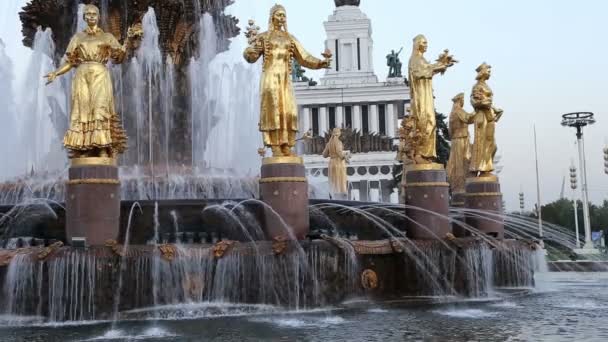 Fountain Friendship of Nations (1951-54, Il progetto della fontana degli architetti K. Topuridze e G. Konstantinovsky) -VDNKH (All-Russia Exhibition Centre), Mosca, Russia — Video Stock