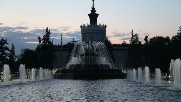 Фонтан у виставковому центрі досягнень народного господарства (ВДНГ), Москва, Росія — стокове відео