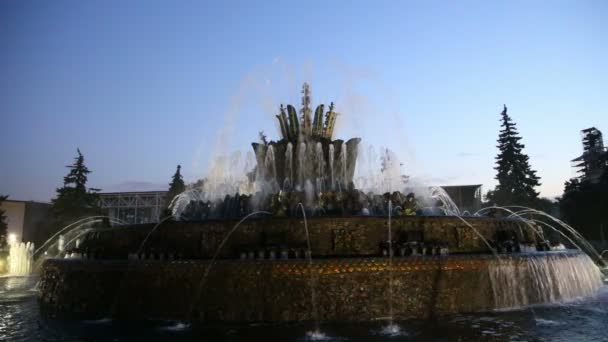 Fontana nel centro espositivo dei risultati dell'economia nazionale (VDNH), Mosca, Russia — Video Stock