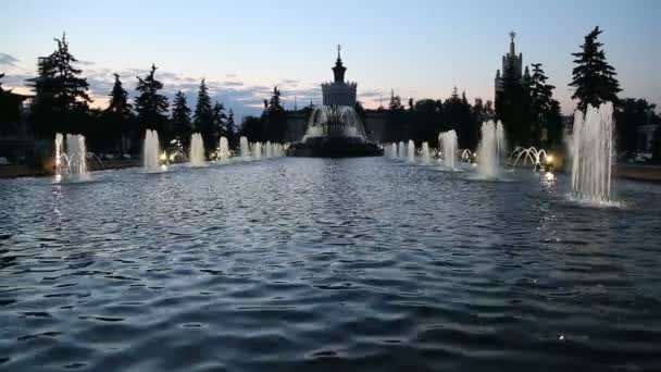 Fontana nel centro espositivo dei risultati dell'economia nazionale (VDNH), Mosca, Russia — Video Stock