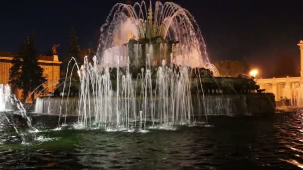 Fontaine dans le centre d'exposition des réalisations de l'économie nationale (VDNH), Moscou, Russie — Video