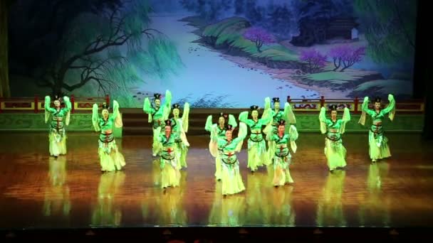 Dancers of the Xian Dance Troupe perform the famous Tang Dynasty show at the Xian Theatre,China  — Wideo stockowe