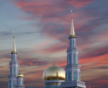 Moskova katedral cami, Rusya--Moskova'da ana Camii