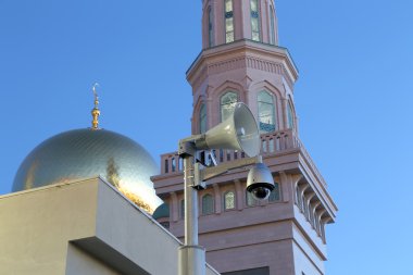 Moskova katedral cami, Rusya--Moskova'da ana Camii
