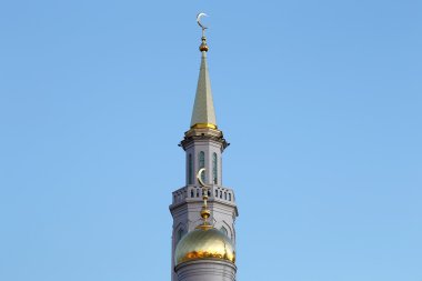 Moskova katedral cami, Rusya--Moskova'da ana Camii