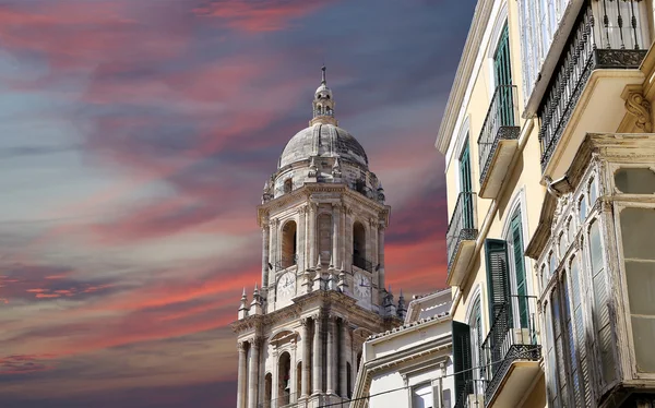 Cathedral of Malaga-- is a Renaissance church in the city of Malaga, Andalusia, southern Spain — Stock Photo, Image