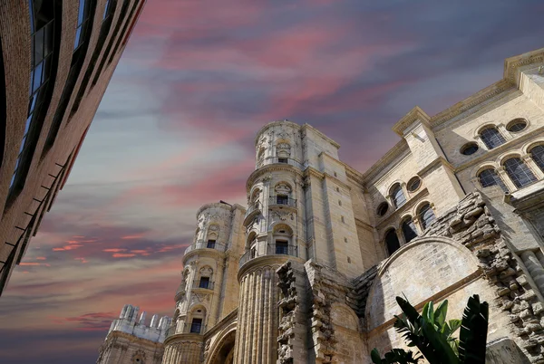 Cathédrale de Malaga est une église de la Renaissance dans la ville de Malaga, Andalousie, Espagne méridionale — Photo