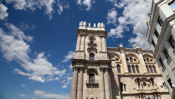 Собор Малагаа - это церковь эпохи Возрождения в городе Малага, Андалусия, Южная Испания — стоковое фото