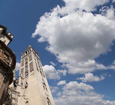 Seville--bakın, Endülüs, İspanya'nın saint mary Katedrali Katedrali