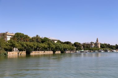 Torre del Oro ya da Golden Tower Guadalquivir Nehri, Sevilla, Andalusia, Güney İspanya üzerinden
