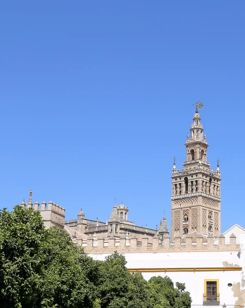 Katedralen i Sevilla--katedralen saint Mary se, Andalusien, Spanien — Stockfoto