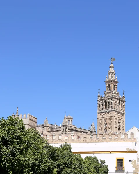 Catedral de Sevilha - Catedral de Santa Maria da Sé, Andaluzia, Espanha — Fotografia de Stock