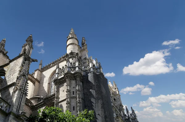 Cathédrale de Séville - Cathédrale Sainte-Marie-du-Siège, Andalousie, Espagne — Photo