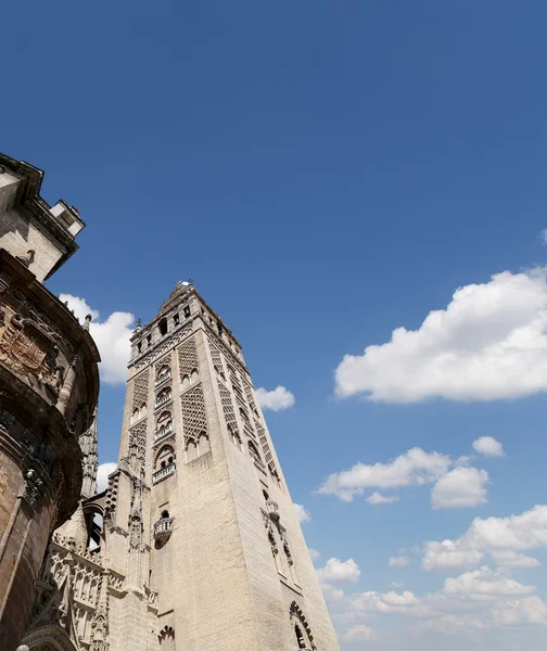 Katedralen i Sevilla--katedralen saint Mary se, Andalusien, Spanien — Stockfoto