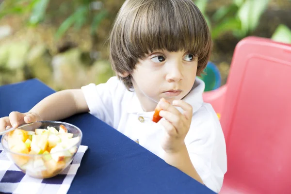 Mooie jongen hebben Picnic — Stockfoto