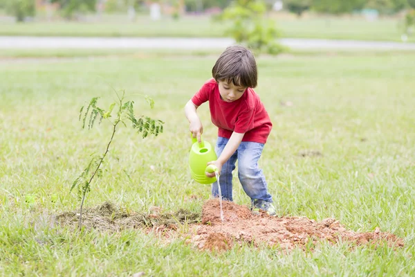 Piantagione bello ragazzo — Foto Stock