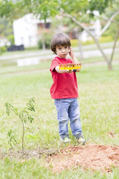 Vackra pojke plantering — Stockfoto