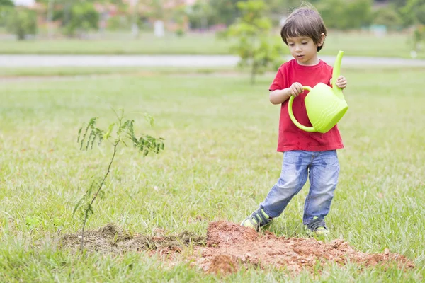 Piantagione bello ragazzo — Foto Stock