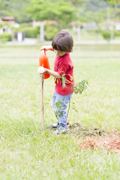 可愛い少年で植栽 — ストック写真