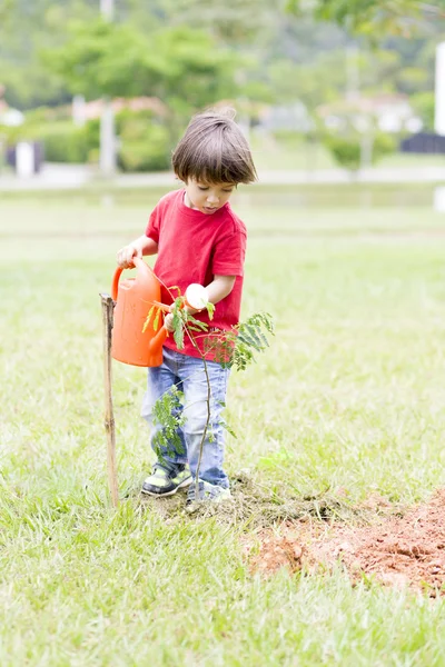 Niño encantador plantando — Foto de Stock