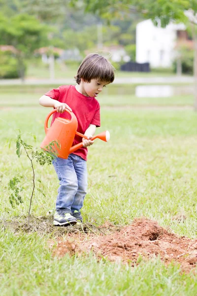 Vackra pojke plantering — Stockfoto