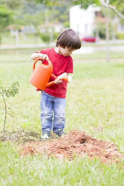 Niño encantador plantando —  Fotos de Stock