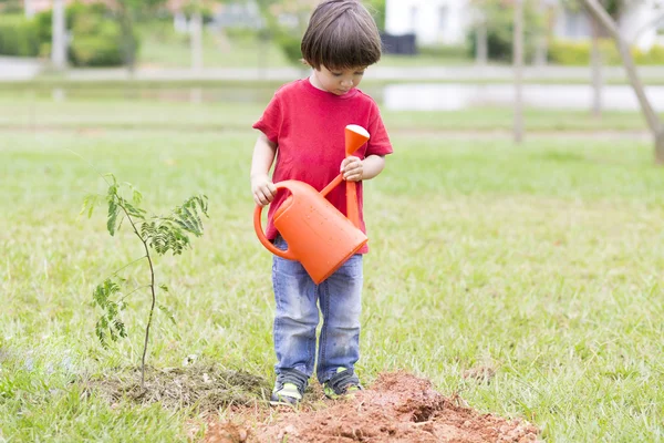 Vackra pojke plantering — Stockfoto