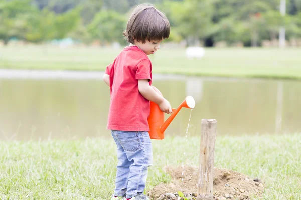 Lovely Boy Planting — Stock Photo, Image