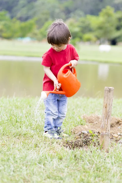 Schöner Junge beim Pflanzen — Stockfoto