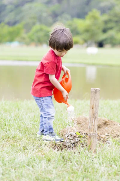 Lovely Boy Planting — Stock Photo, Image