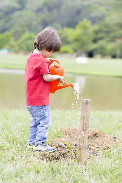 Lovely Boy Planting — Stock Photo, Image