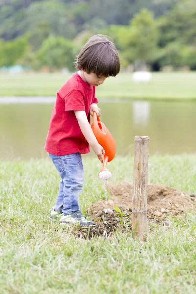 Schöner Junge beim Pflanzen — Stockfoto