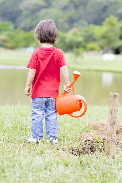 Niño encantador plantando —  Fotos de Stock