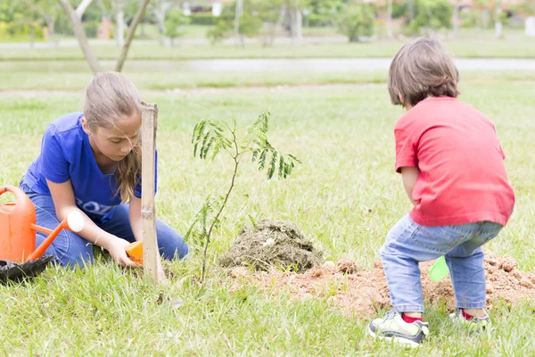 Glückliche Mädchen und Jungen beim Pflanzen — Stockfoto