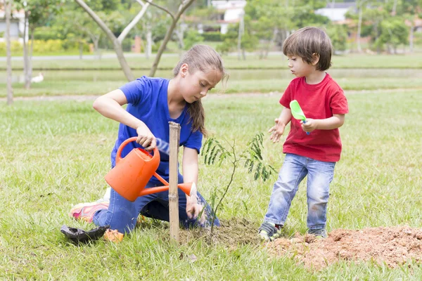 Glückliche Mädchen und Jungen, die Pflanzen im Freien gießen — Stockfoto