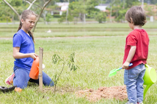 Menina feliz e menino regando plantas ao ar livre — Fotografia de Stock
