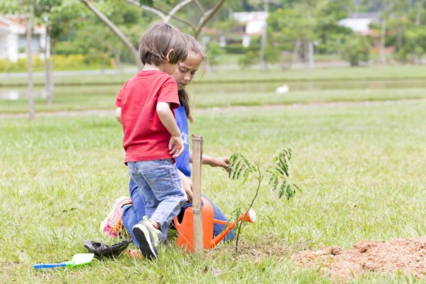 Happy Girl and Boy Planting — Stock Photo, Image