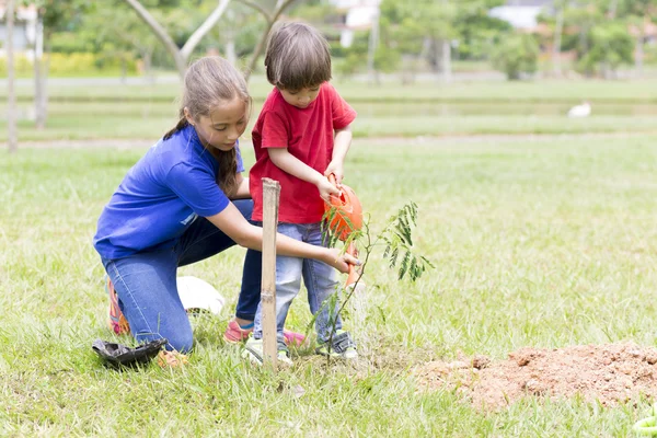 Happy Girl and Boy Planting — Stock Photo, Image