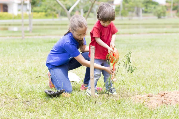 Happy Girl and Boy Planting — Stock Photo, Image