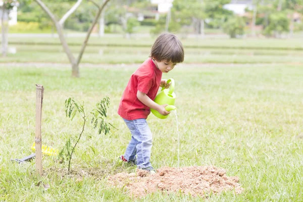 Petits garçons arrosant les plantes En plein air — Photo