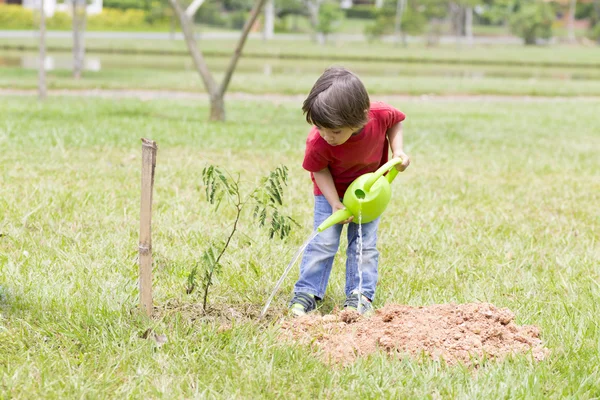 Ragazzino irrigazione piante all'aperto — Foto Stock