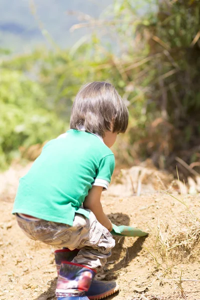 可愛い少年で植栽 — ストック写真