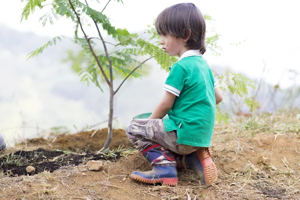 Niño encantador plantando — Foto de Stock