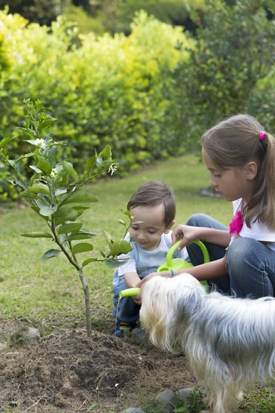 Happy Children Gardening — Stock Photo, Image