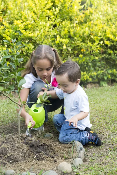 Jardinage des enfants heureux — Photo