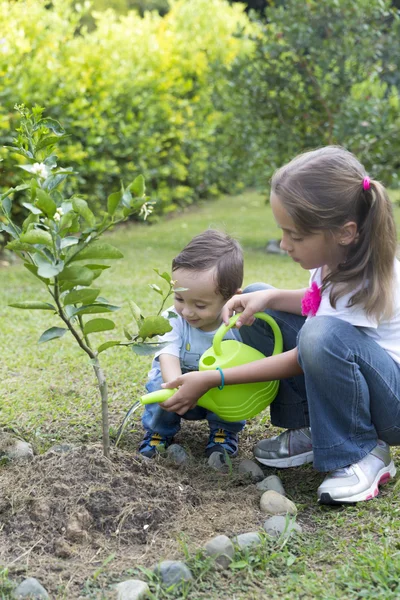 Happy Children Gardening — Stock Photo, Image