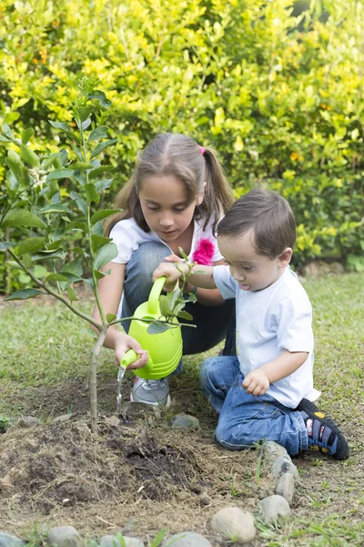 Jardinage des enfants heureux — Photo