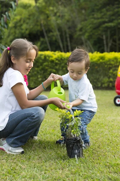 Niños felices Jardinería —  Fotos de Stock