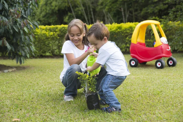 Niños felices Jardinería —  Fotos de Stock